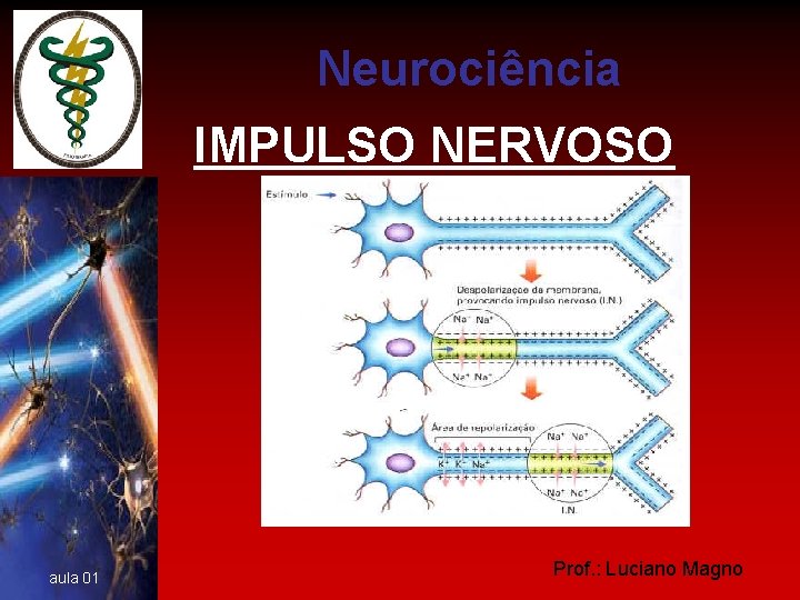 Neurociência IMPULSO NERVOSO aula 01 Prof. : Luciano Magno 