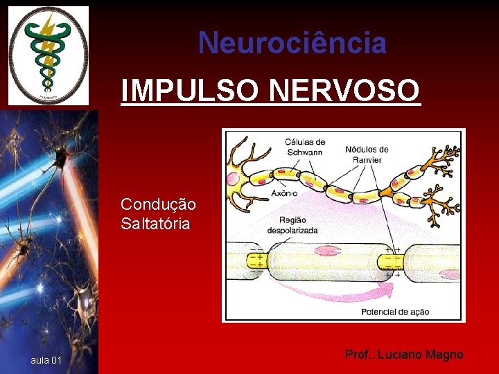 Neurociência IMPULSO NERVOSO Condução Saltatória aula 01 Prof. : Luciano Magno 