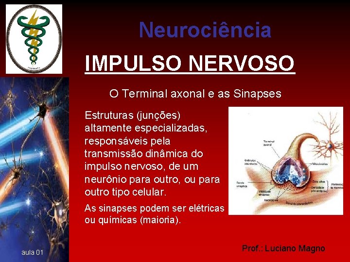 Neurociência IMPULSO NERVOSO O Terminal axonal e as Sinapses Estruturas (junções) altamente especializadas, responsáveis