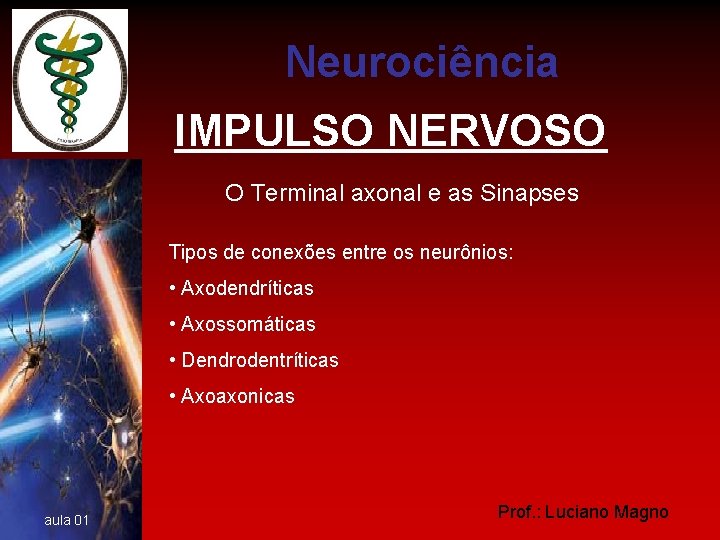 Neurociência IMPULSO NERVOSO O Terminal axonal e as Sinapses Tipos de conexões entre os