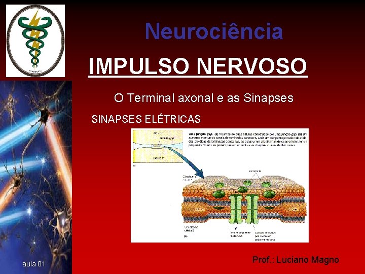 Neurociência IMPULSO NERVOSO O Terminal axonal e as Sinapses SINAPSES ELÉTRICAS aula 01 Prof.