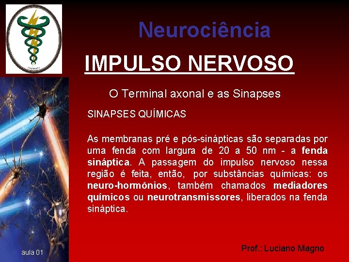 Neurociência IMPULSO NERVOSO O Terminal axonal e as Sinapses SINAPSES QUÍMICAS As membranas pré