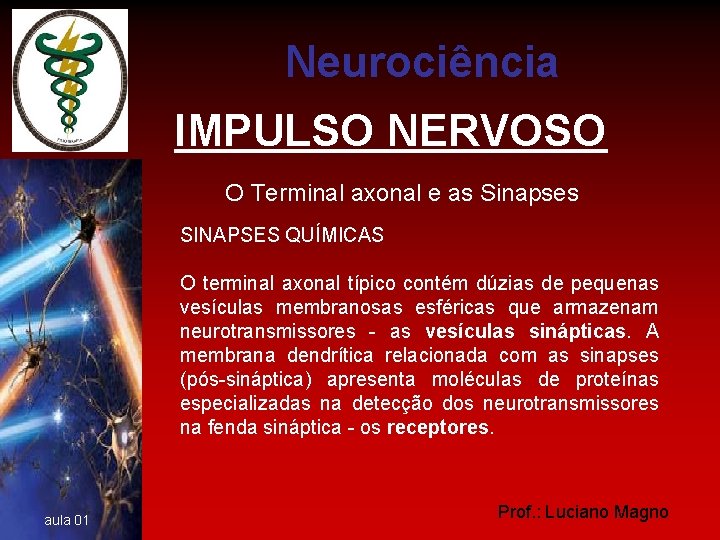 Neurociência IMPULSO NERVOSO O Terminal axonal e as Sinapses SINAPSES QUÍMICAS O terminal axonal