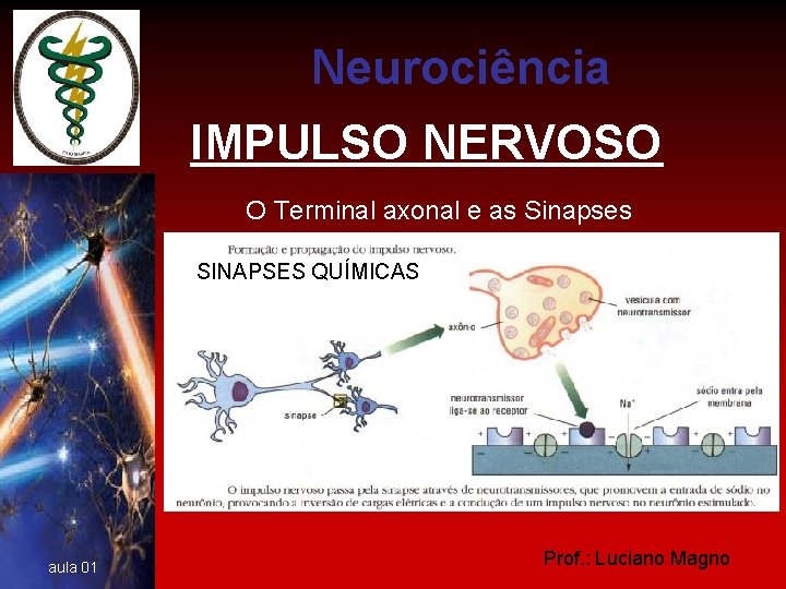 Neurociência IMPULSO NERVOSO O Terminal axonal e as Sinapses SINAPSES QUÍMICAS aula 01 Prof.