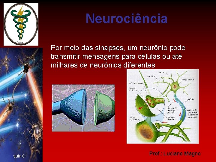 Neurociência Por meio das sinapses, um neurônio pode transmitir mensagens para células ou até