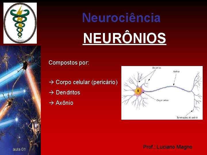 Neurociência NEURÔNIOS Compostos por: Corpo celular (pericário) Dendritos Axônio aula 01 Prof. : Luciano