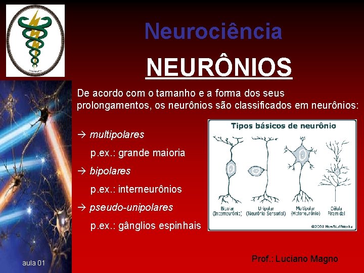 Neurociência NEURÔNIOS De acordo com o tamanho e a forma dos seus prolongamentos, os