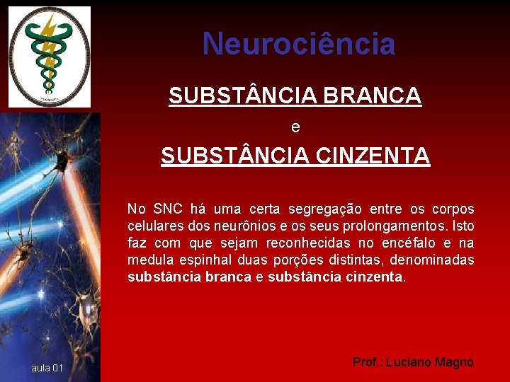 Neurociência SUBST NCIA BRANCA e SUBST NCIA CINZENTA No SNC há uma certa segregação