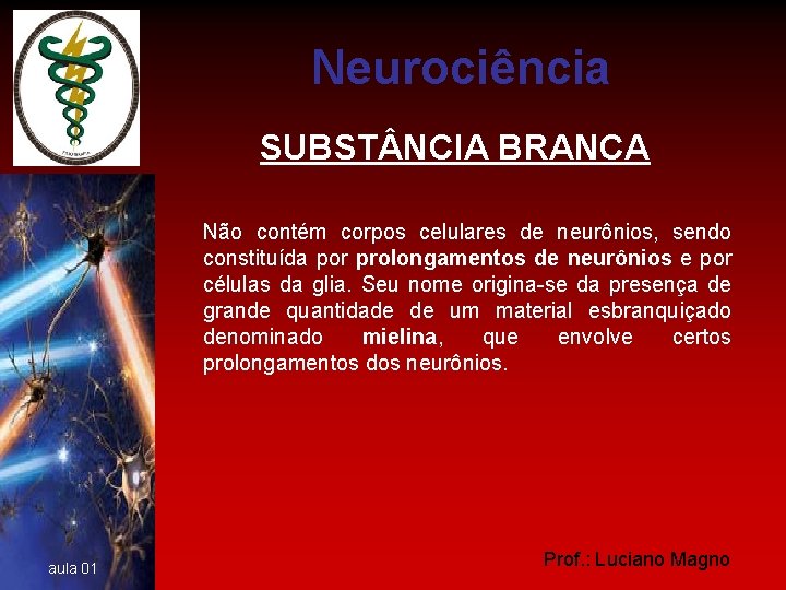 Neurociência SUBST NCIA BRANCA Não contém corpos celulares de neurônios, sendo constituída por prolongamentos