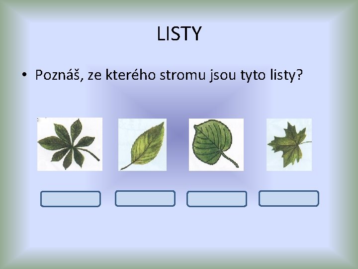 LISTY • Poznáš, ze kterého stromu jsou tyto listy? jírovec maďal třešeň lípa javor