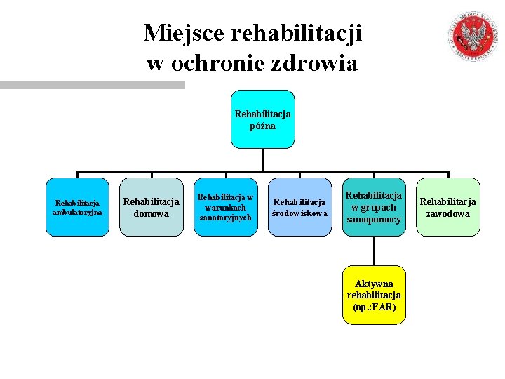 Miejsce rehabilitacji w ochronie zdrowia Rehabilitacja późna Rehabilitacja ambulatoryjna Rehabilitacja domowa Rehabilitacja w warunkach