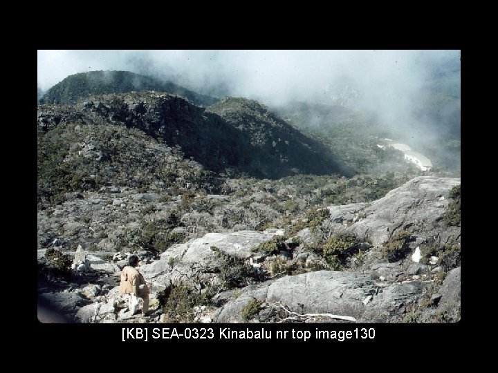 [KB] SEA-0323 Kinabalu nr top image 130 