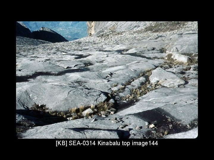 [KB] SEA-0314 Kinabalu top image 144 