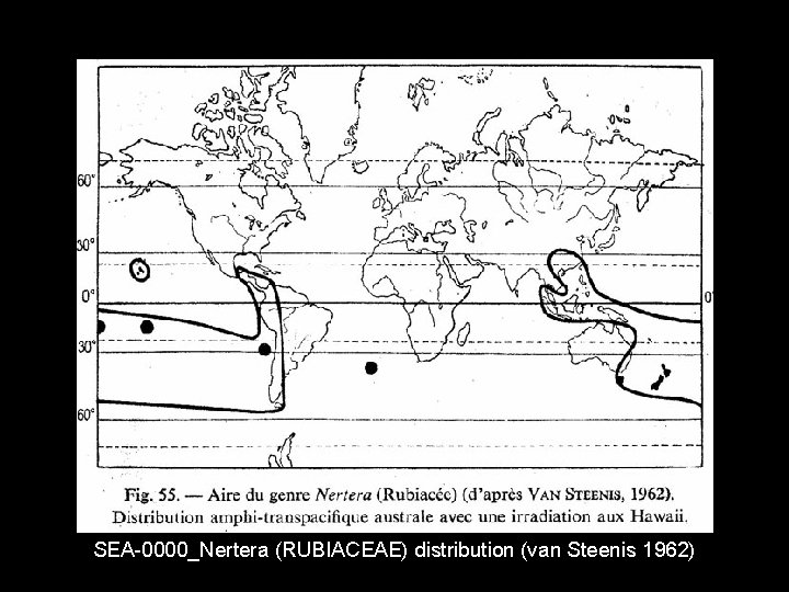 SEA-0000_Nertera (RUBIACEAE) distribution (van Steenis 1962) 