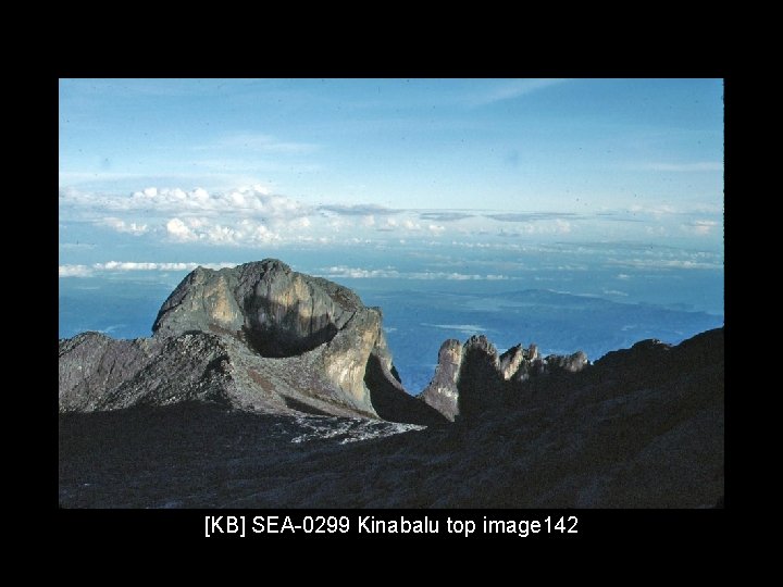 [KB] SEA-0299 Kinabalu top image 142 