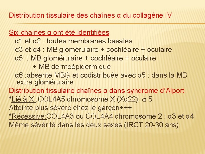 Distribution tissulaire des chaînes α du collagène IV Six chaines α ont été identifiées