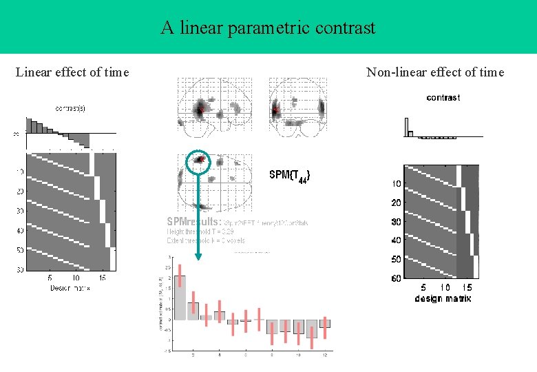 A linear parametric contrast Linear effect of time Non-linear effect of time 