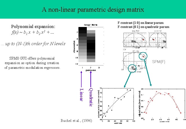 A non-linear parametric design matrix F-contrast [1 0] on linear param F-contrast [0 1]