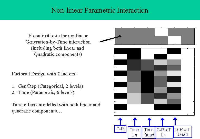 Non-linear Parametric Interaction F-contrast tests for nonlinear Generation-by-Time interaction (including both linear and Quadratic