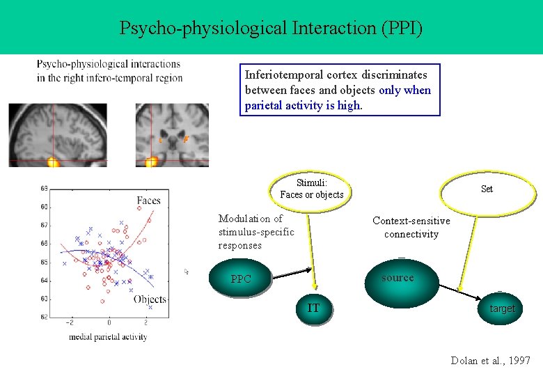 Psycho-physiological Interaction (PPI) Inferiotemporal cortex discriminates between faces and objects only when parietal activity Psycho-physiological Interaction (PPI) Inferiotemporal cortex discriminates between faces and objects only when parietal activity