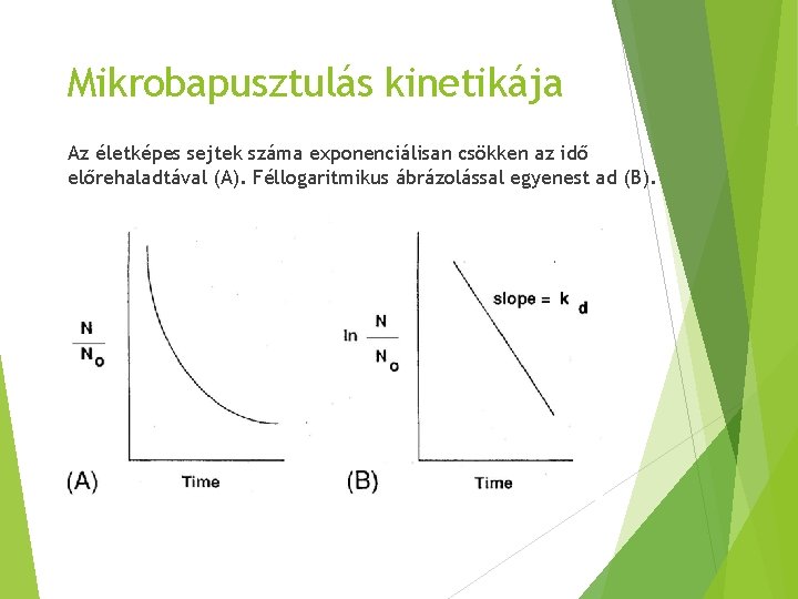 Mikrobapusztulás kinetikája Az életképes sejtek száma exponenciálisan csökken az idő előrehaladtával (A). Féllogaritmikus ábrázolással