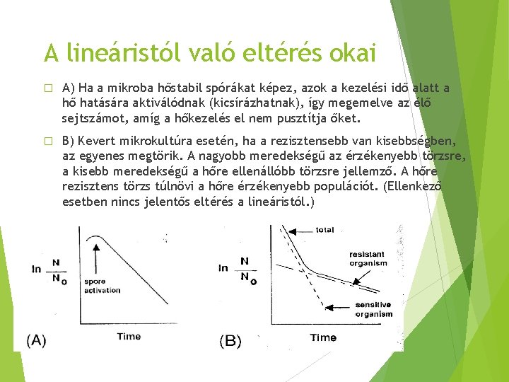 A lineáristól való eltérés okai � A) Ha a mikroba hőstabil spórákat képez, azok