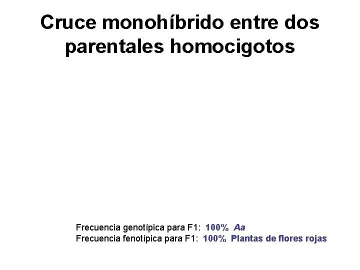 Cruce monohíbrido entre dos parentales homocigotos Frecuencia genotípica para F 1: 100% Aa Frecuencia