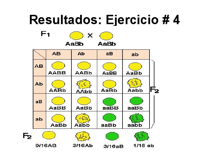 Resultados: Ejercicio # 4 