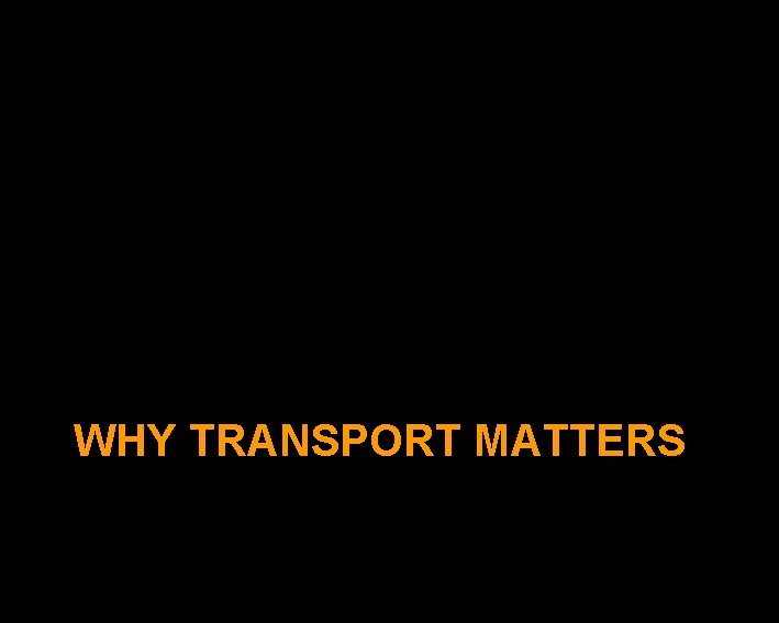 WHY TRANSPORT MATTERS 