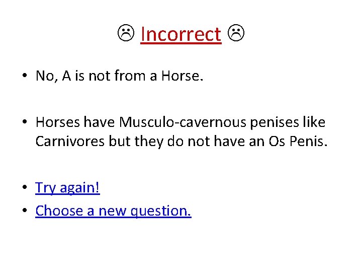  Incorrect • No, A is not from a Horse. • Horses have Musculo-cavernous