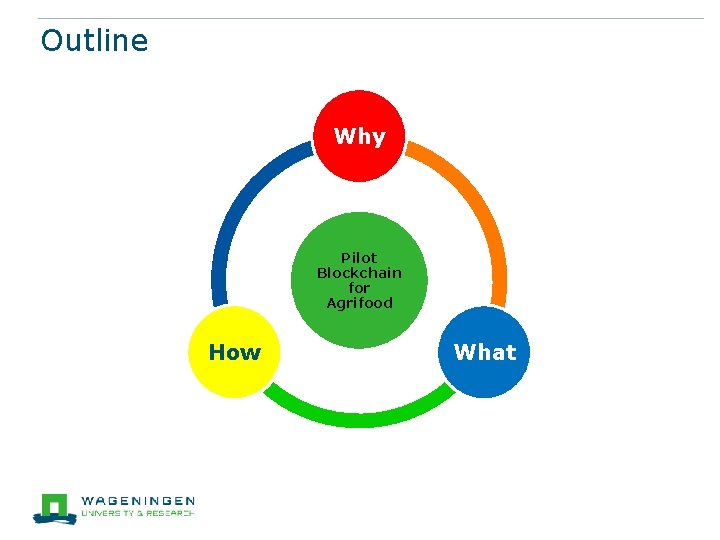 Outline Why Pilot Blockchain for Agrifood How What 