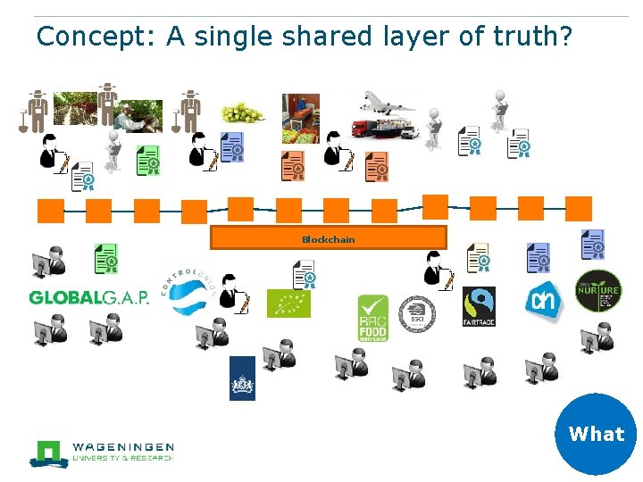 Concept: A single shared layer of truth? Blockchain What 8 