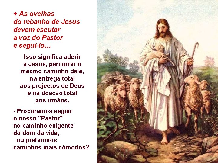 + As ovelhas do rebanho de Jesus devem escutar a voz do Pastor e