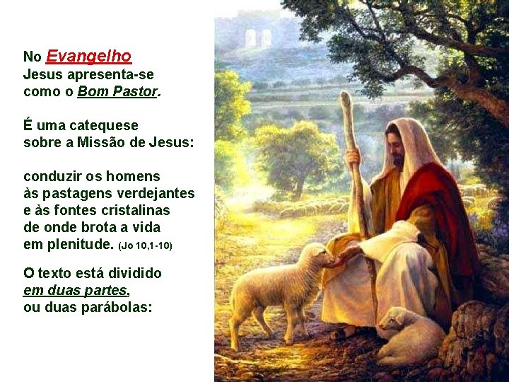 No Evangelho Jesus apresenta-se como o Bom Pastor. É uma catequese sobre a Missão