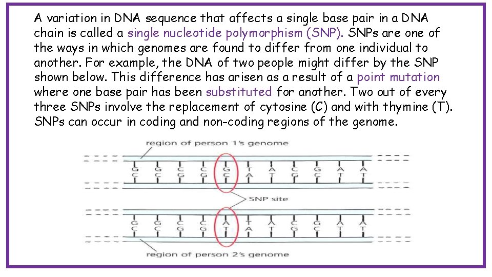 A variation in DNA sequence that affects a single base pair in a DNA