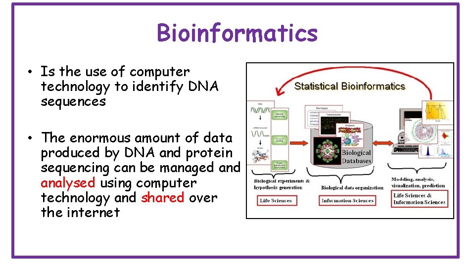 Bioinformatics • Is the use of computer technology to identify DNA sequences • The