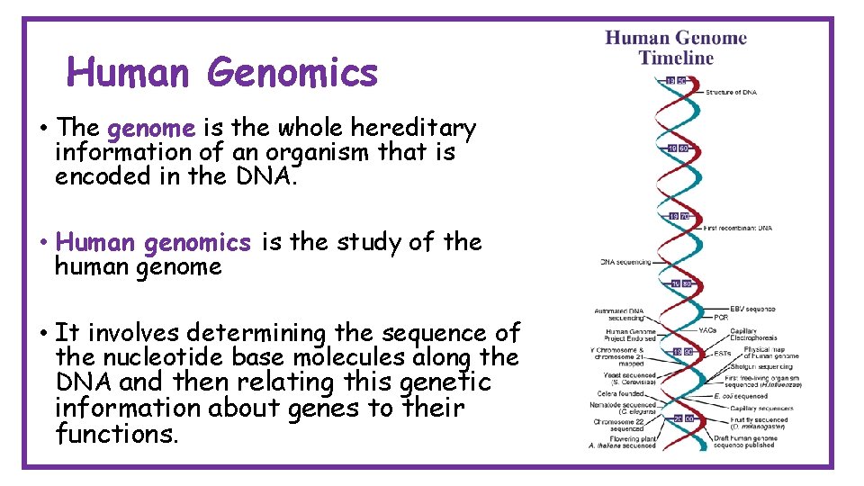 Human Genomics • The genome is the whole hereditary information of an organism that