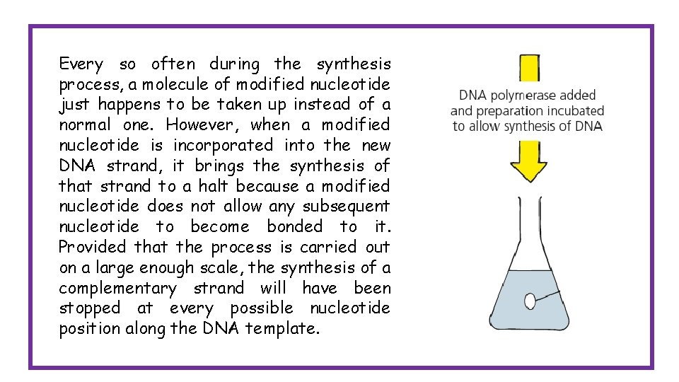Every so often during the synthesis process, a molecule of modified nucleotide just happens