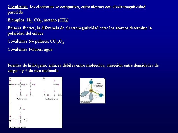 Covalentes: los electrones se comparten, entre átomos con electronegatividad parecida Ejemplos: H 2, ,