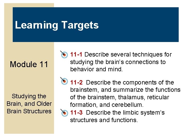 Learning Targets Module 11 Studying the Brain, and Older Brain Structures 11 -1 Describe
