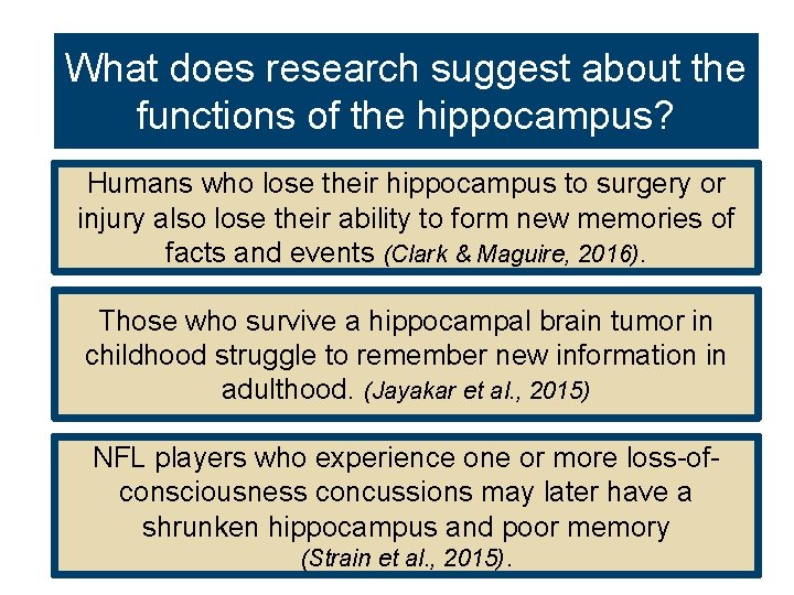 What does research suggest about the functions of the hippocampus? Humans who lose their