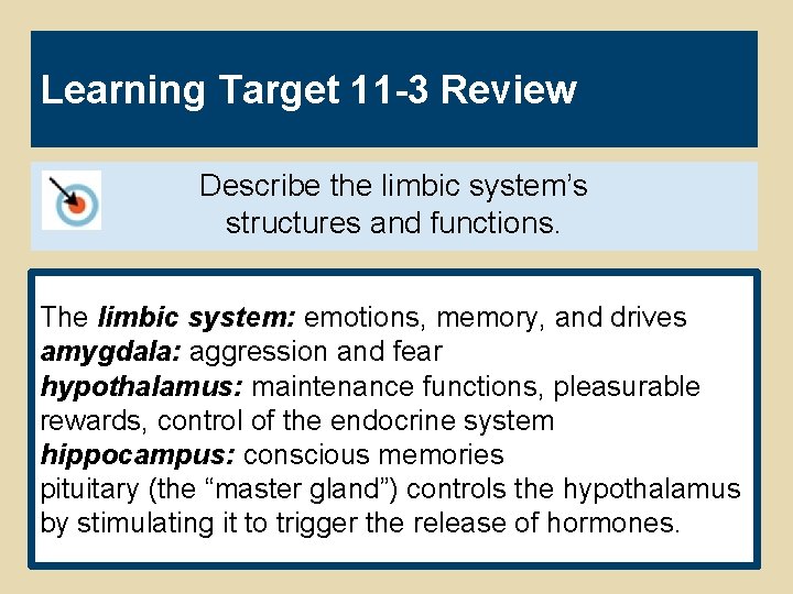 Learning Target 11 -3 Review Describe the limbic system’s structures and functions. The limbic