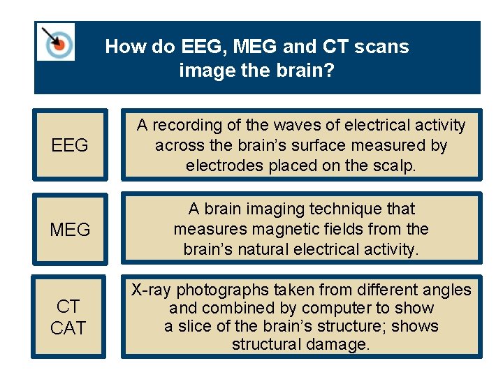 How do EEG, MEG and CT scans image the brain? EEG A recording of
