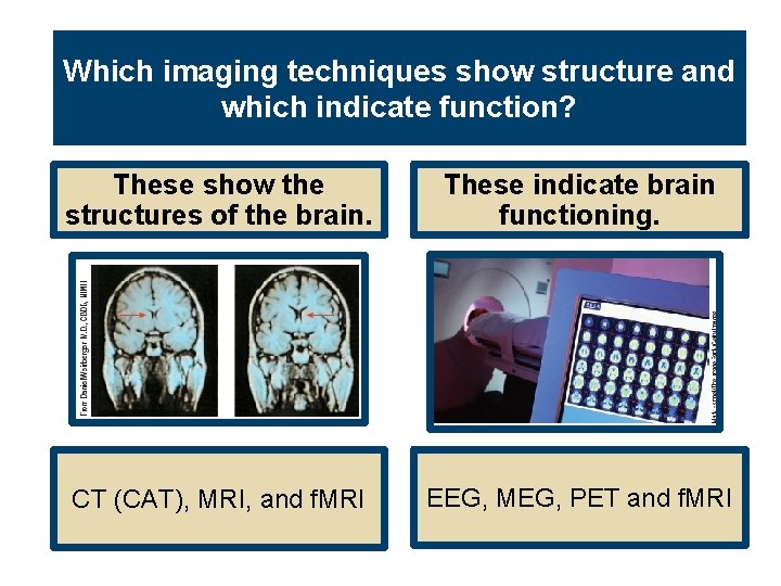 Which imaging techniques show structure and which indicate function? These show the structures of