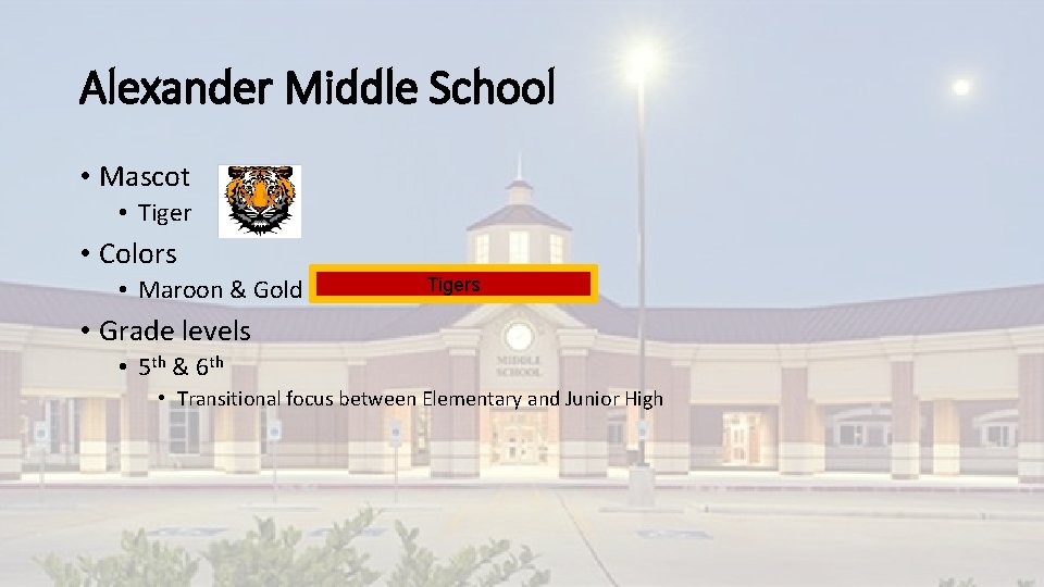 Alexander Middle School • Mascot • Tiger • Colors • Maroon & Gold Tigers