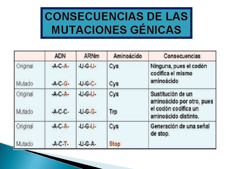 CONSECUENCIAS DE LAS MUTACIONES GÉNICAS 