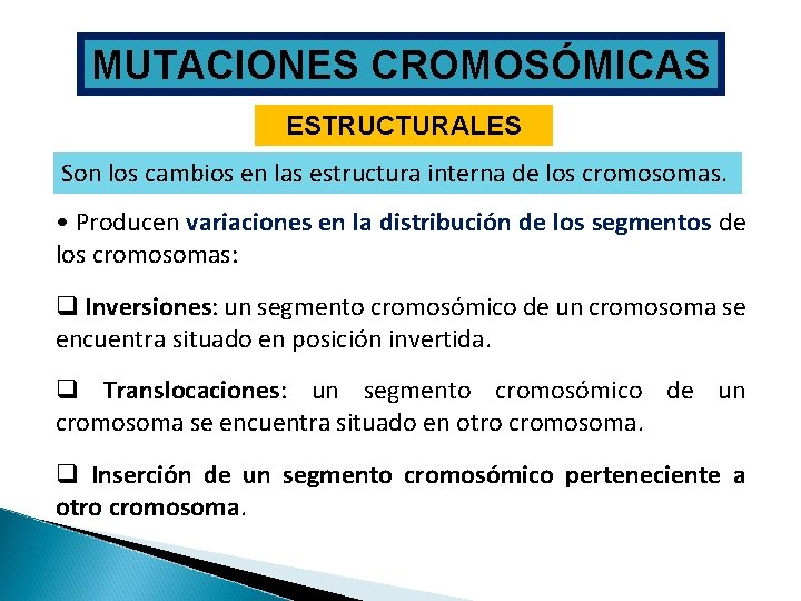 MUTACIONES CROMOSÓMICAS ESTRUCTURALES Son los cambios en las estructura interna de los cromosomas. •