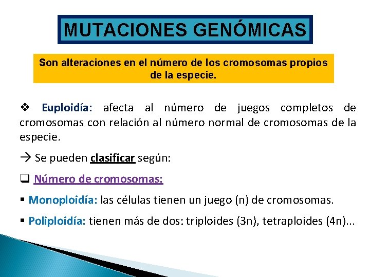 MUTACIONES GENÓMICAS Son alteraciones en el número de los cromosomas propios de la especie.