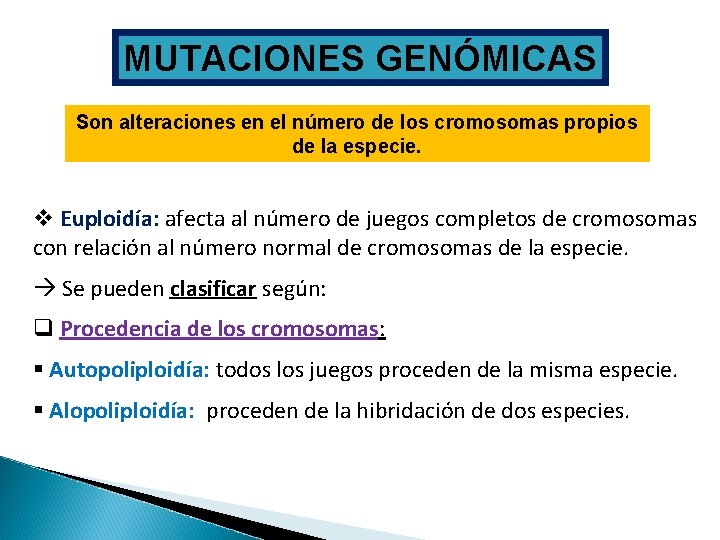 MUTACIONES GENÓMICAS Son alteraciones en el número de los cromosomas propios de la especie.
