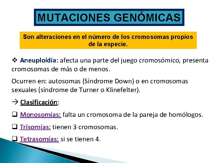 MUTACIONES GENÓMICAS Son alteraciones en el número de los cromosomas propios de la especie.